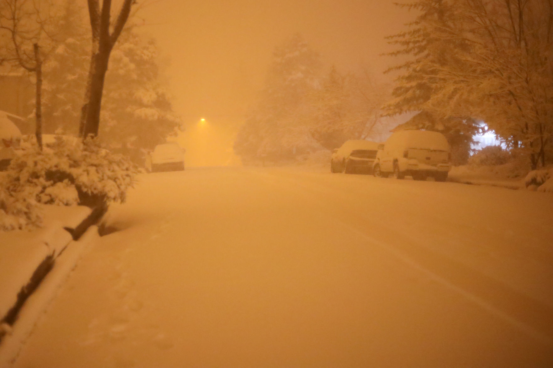 Black Friday snow